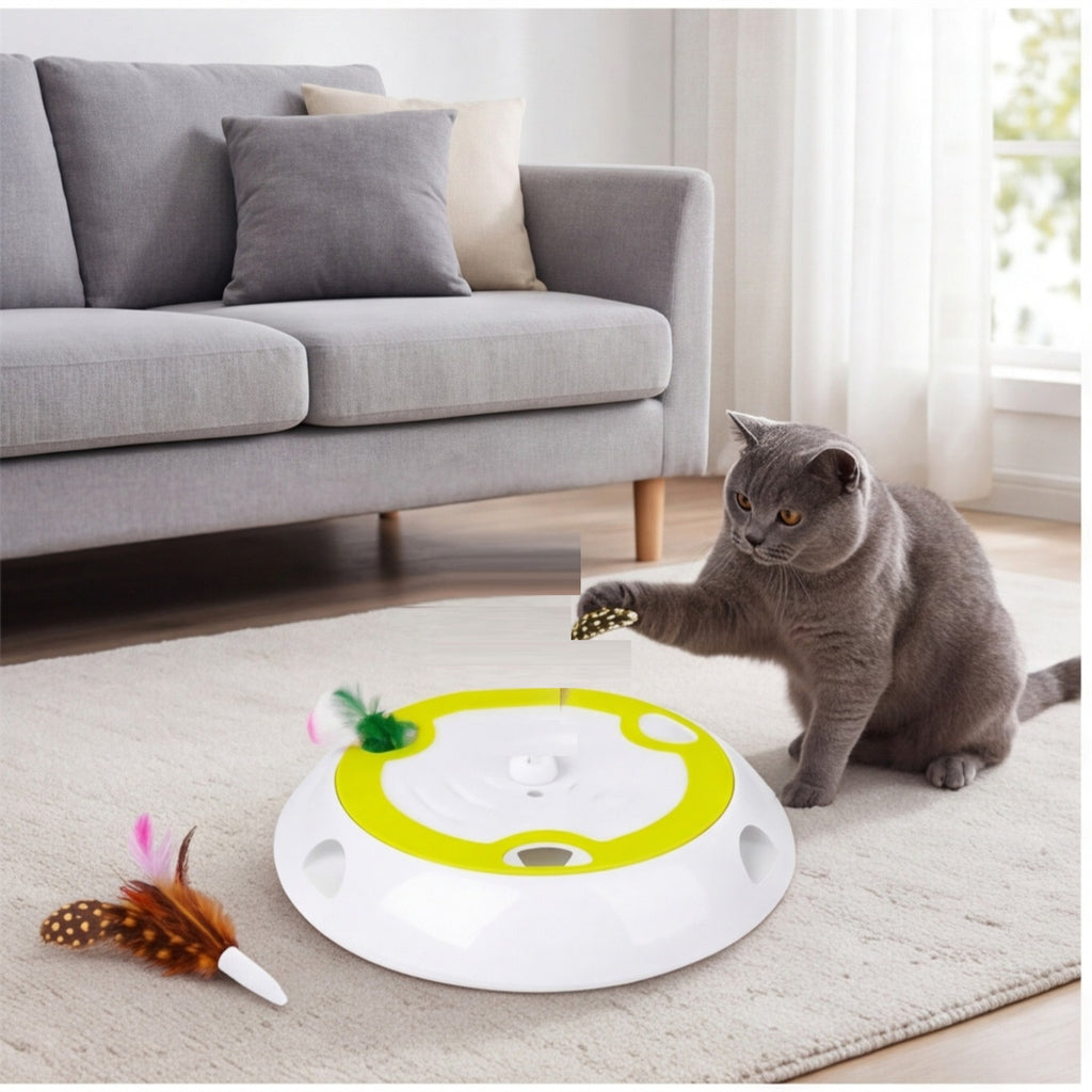 Pista interactiva para gatos con pluma