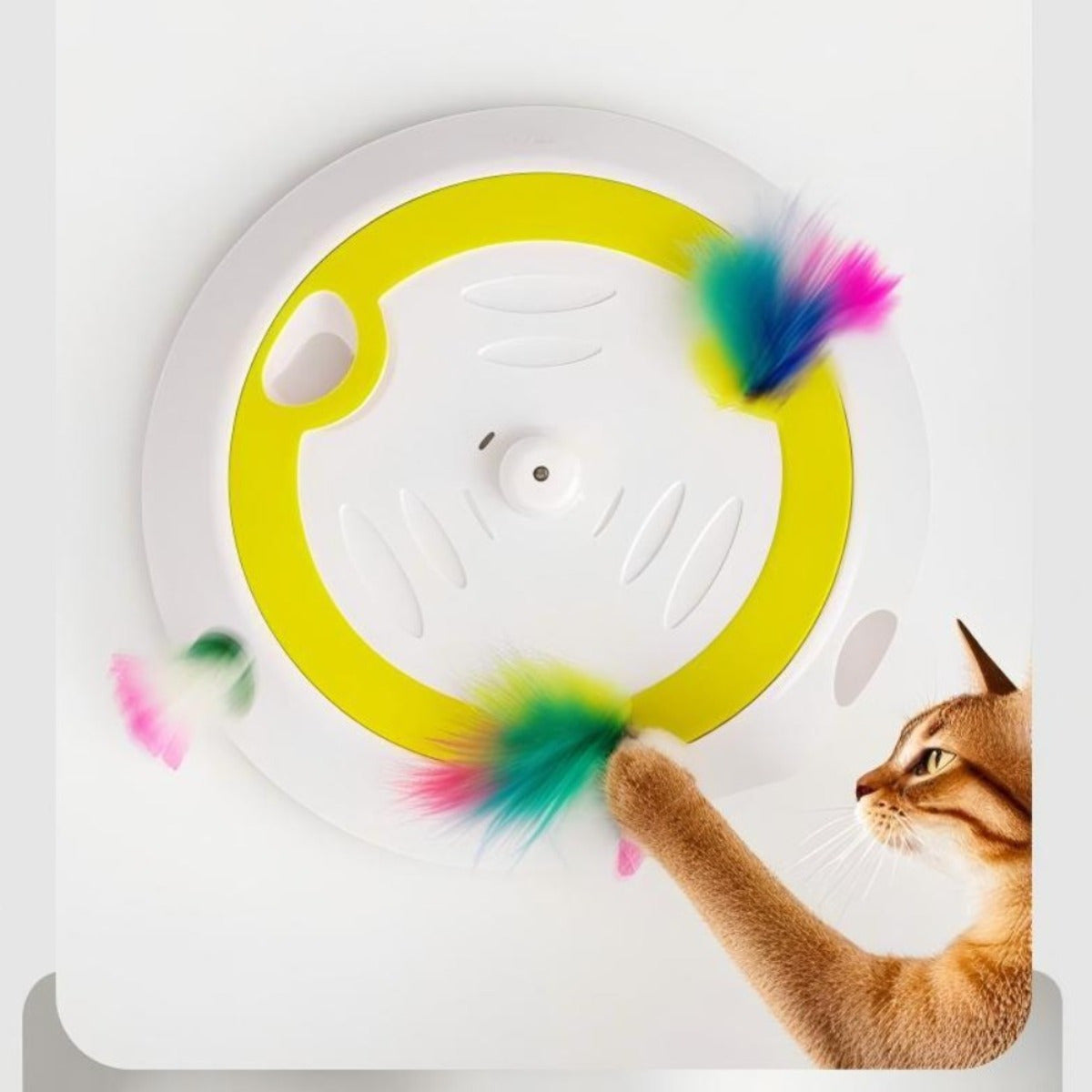 Pista para gatos con recambios de muelle