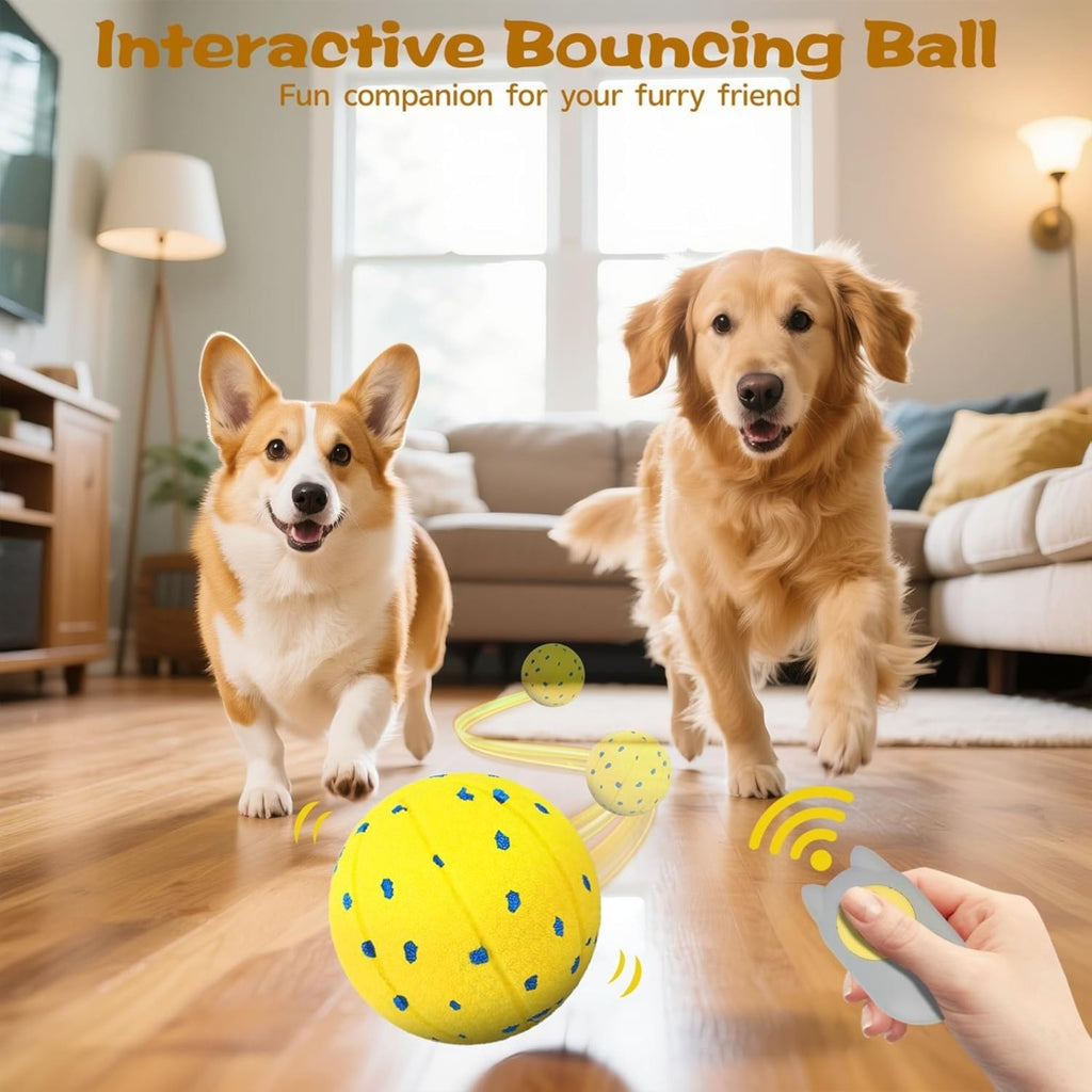 Perro jugando con la pelota interactiva automática