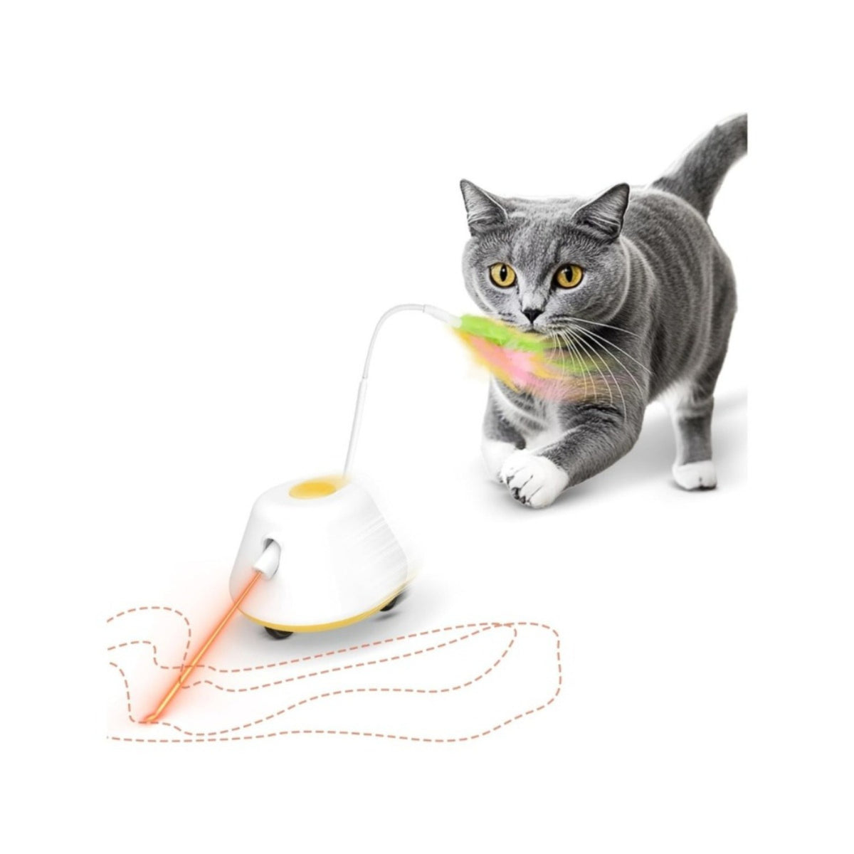 Juguete para gatos de interior con plumas, vista general