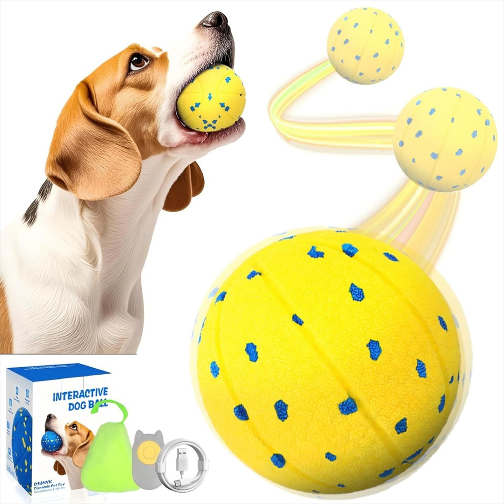 Pelota interactiva para perros que rueda sola