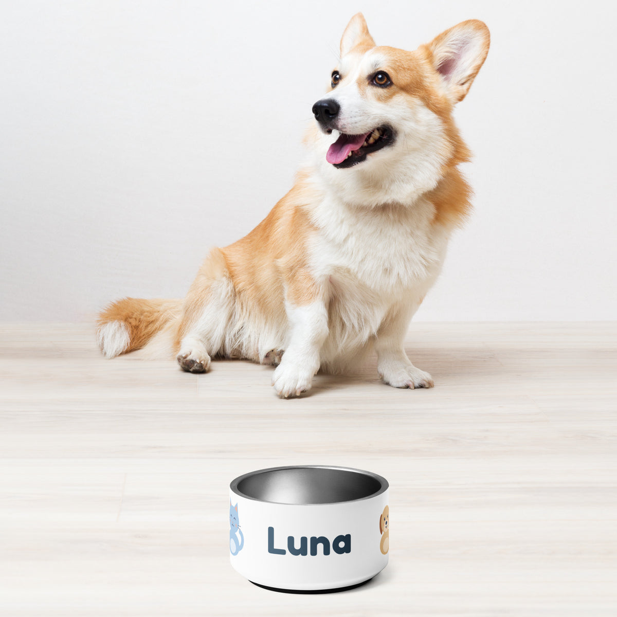 Comedero personalizado con nombre de mascota y personajes Nubo y Canela – Nubo Pet (foto 10)