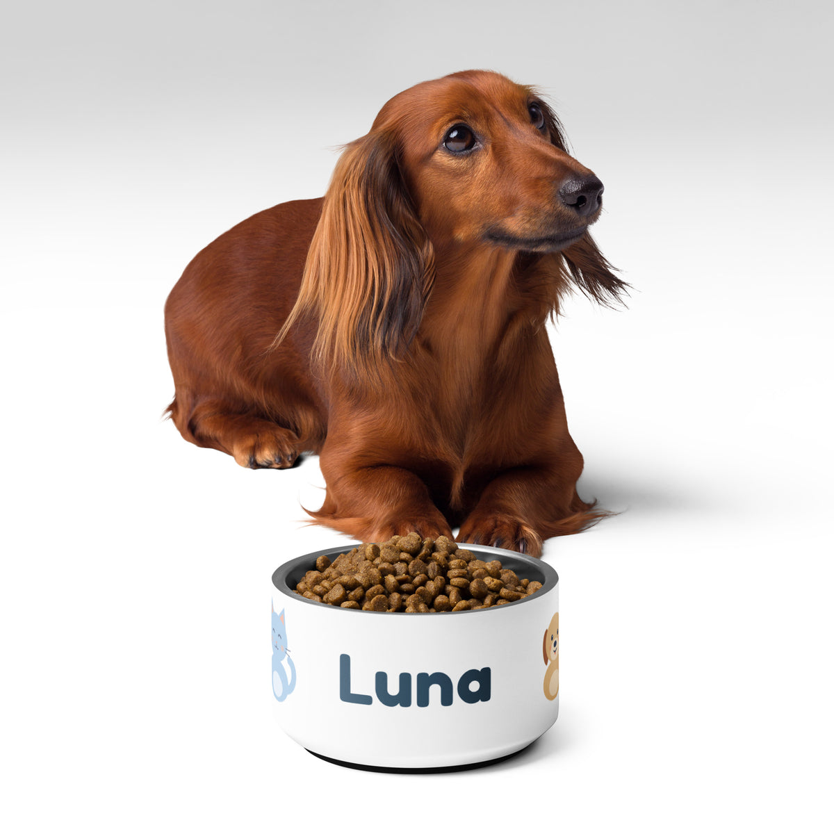 Comedero personalizado con nombre de mascota y personajes Nubo y Canela – Nubo Pet (foto 4)