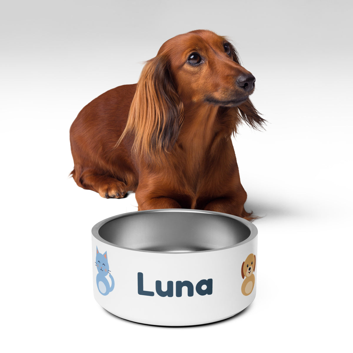 Comedero personalizado con nombre de mascota y personajes Nubo y Canela – Nubo Pet (foto 7)