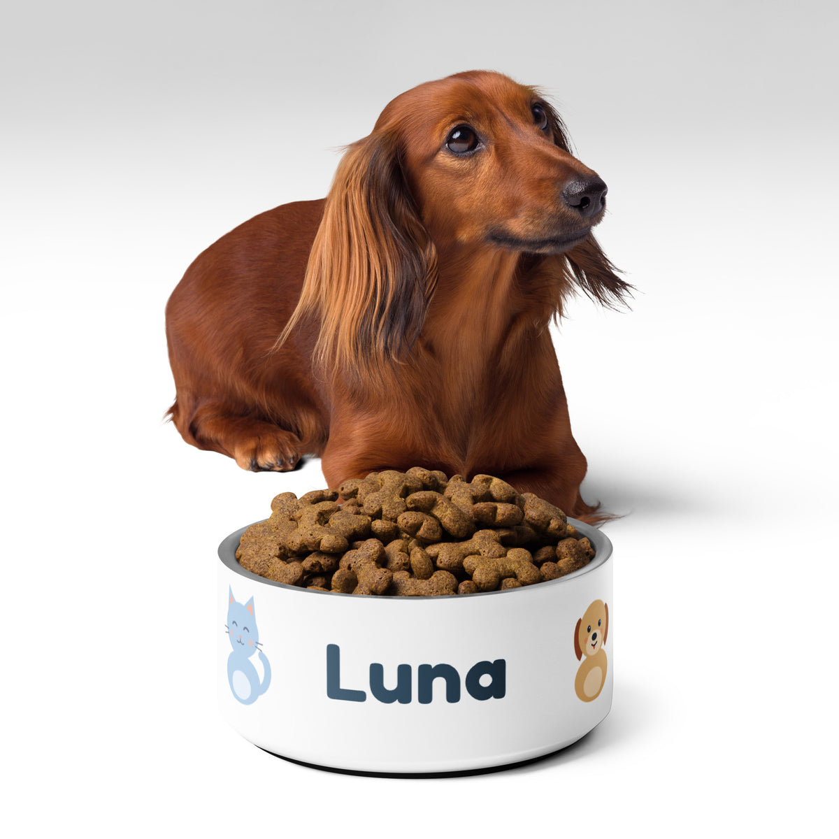 Comedero personalizado con nombre de mascota y personajes Nubo y Canela – Nubo Pet (foto 5)